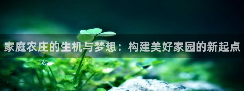 天辰娱乐直属