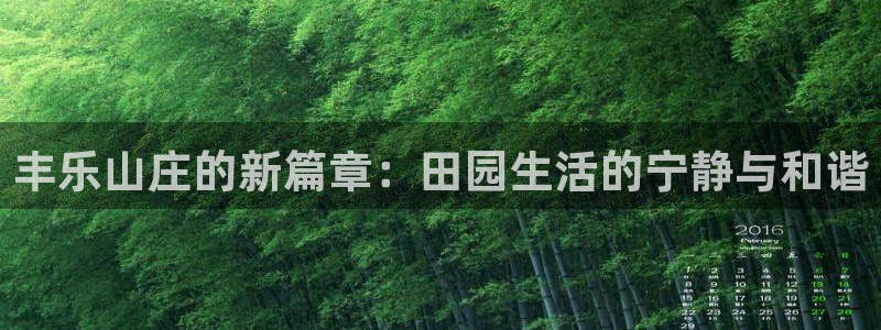 天辰娱乐所
