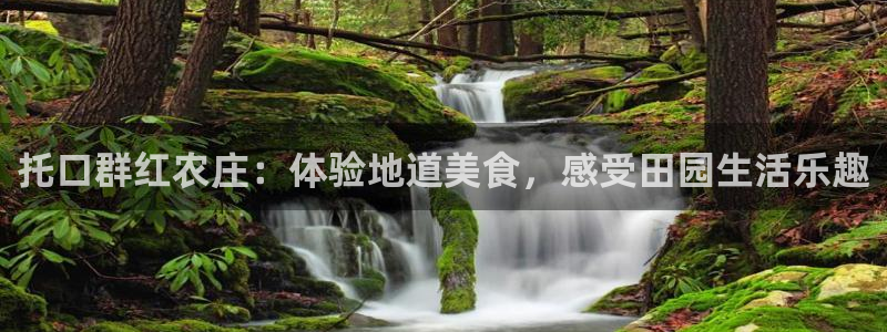广东天辰娱乐