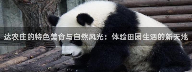 天富娱乐与天辰娱乐