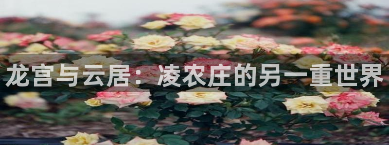 天辰娱乐 首选