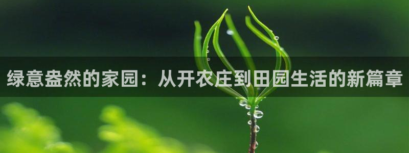 天辰娱乐连接