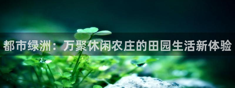 深圳天辰娱乐
