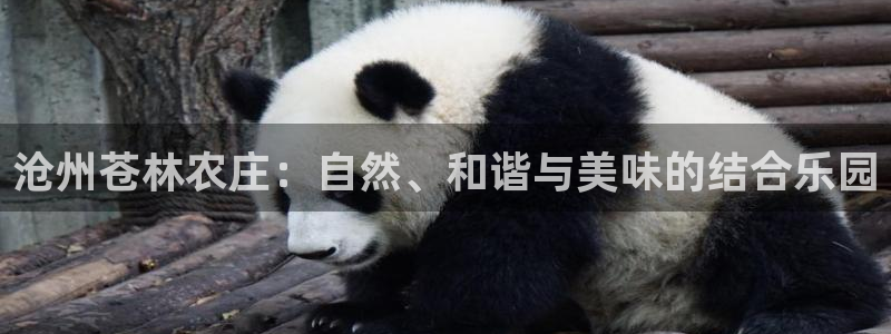 天辰娱乐文化