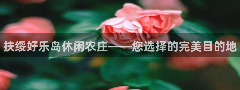 天辰娱乐待遇
