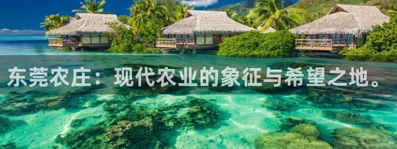 天辰娱乐557696