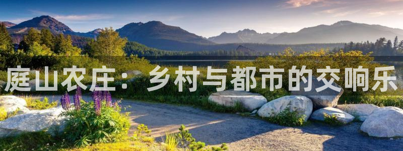 南充天辰娱乐
