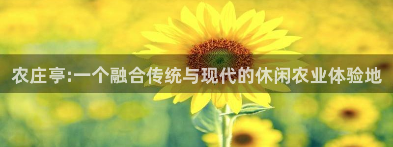 天辰 娱乐