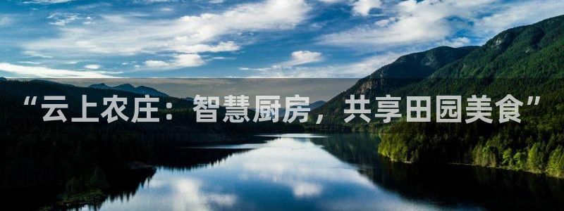 天辰娱乐51137