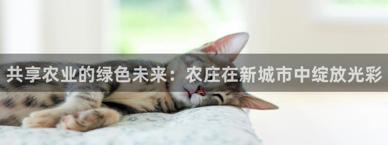 天辰娱乐 231639