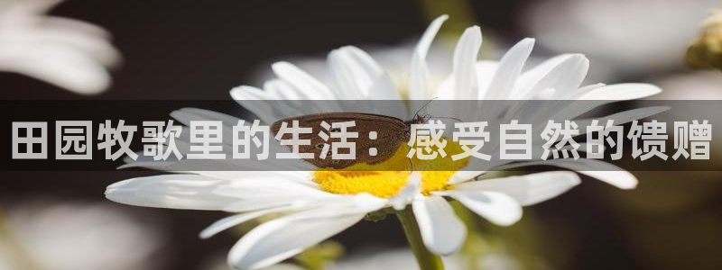 天辰娱乐登录测试