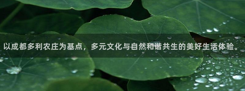 天辰娱乐小姐