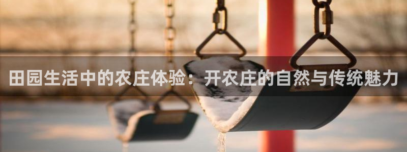 天辰娱乐公司