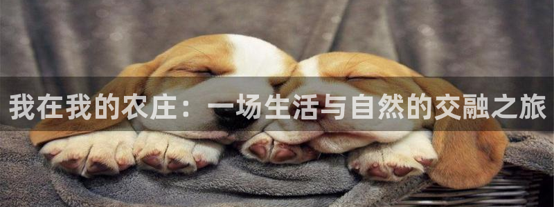 天辰娱乐下载