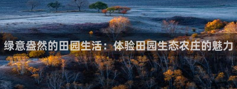 北京天辰娱乐