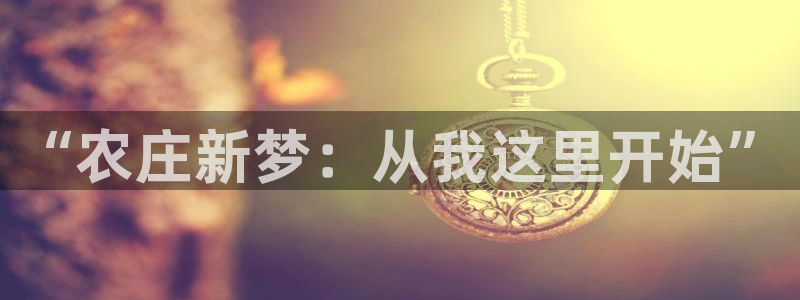 天辰娱乐小妹
