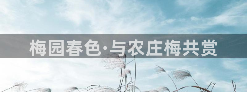 天辰娱乐 849852
