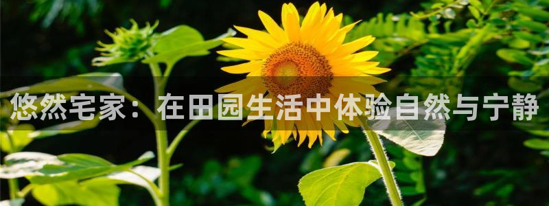 天辰娱乐地址