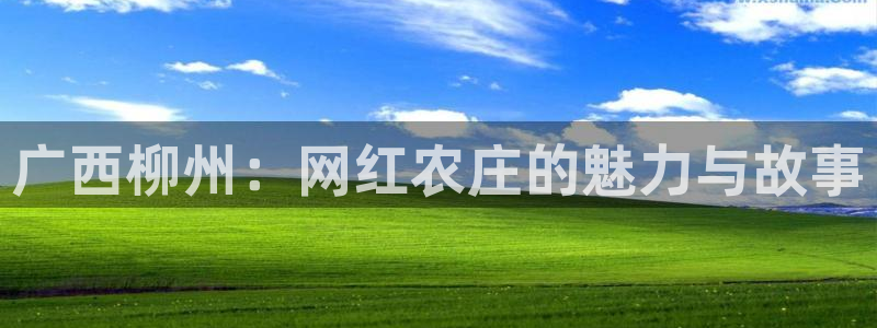 天辰娱乐股东