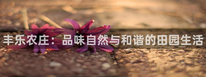 广东天辰娱乐