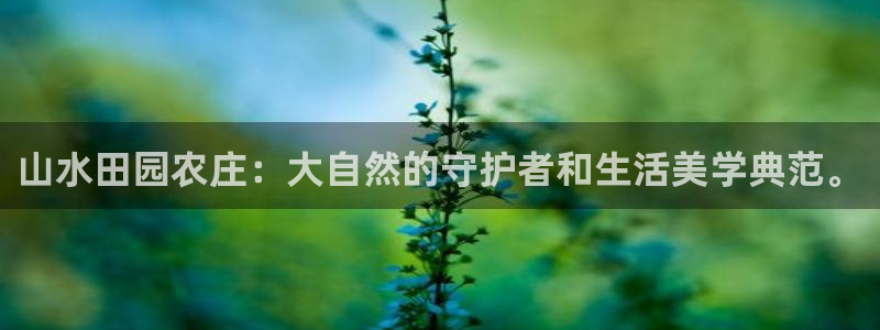 天辰娱乐小妹