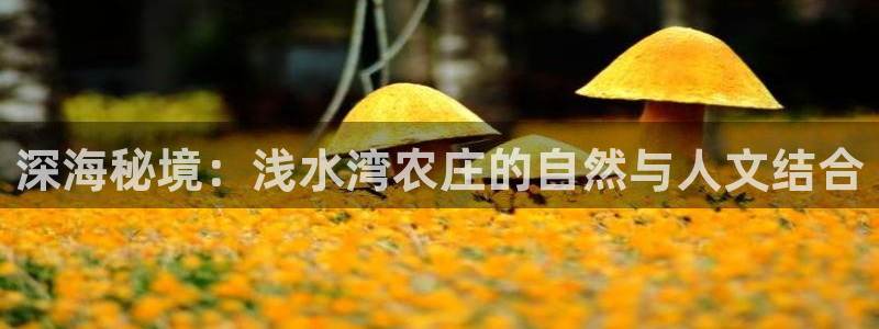 天辰娱乐游戏
