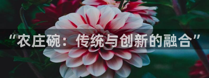 天辰娱乐会所