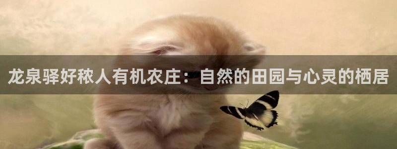 天辰娱乐天辰宝