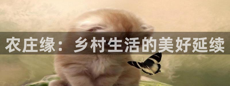 天辰娱乐维护