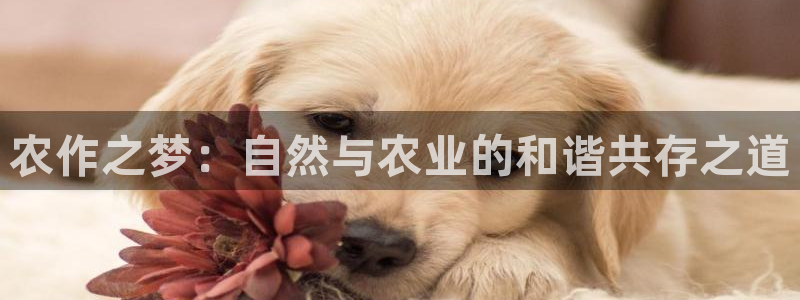 天辰娱乐新闻