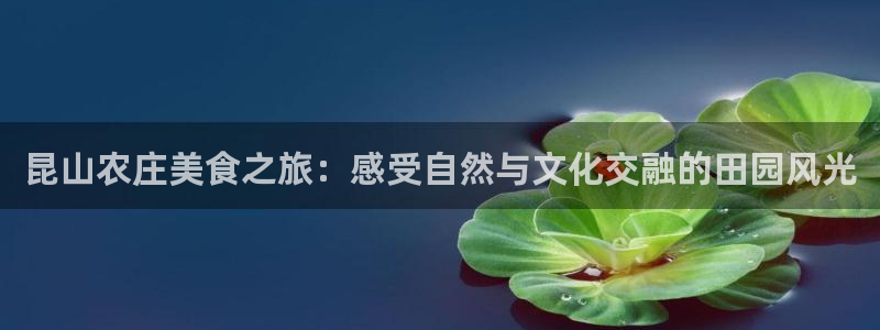 天辰娱乐线路