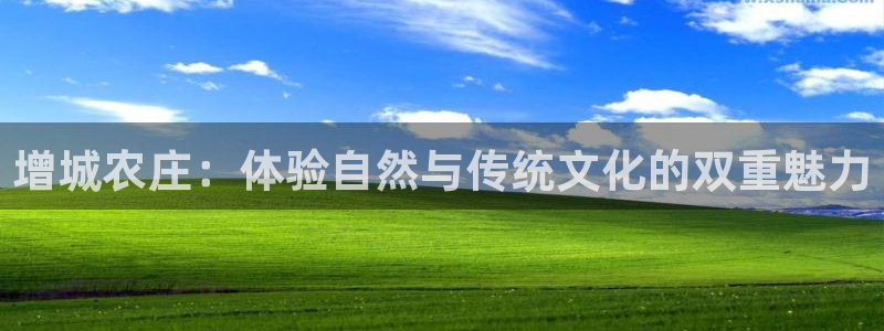 天辰娱乐简介