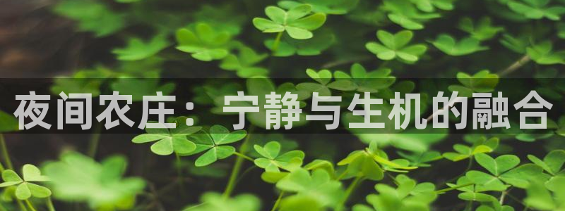 天辰娱乐酒店