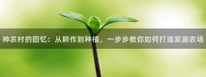 辰天娱乐用品