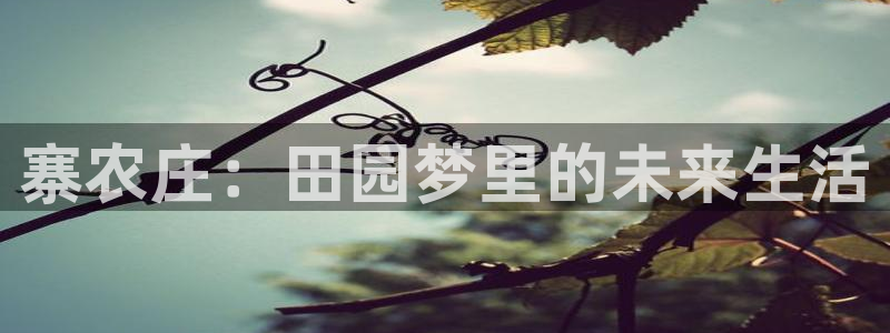 天辰娱乐文化