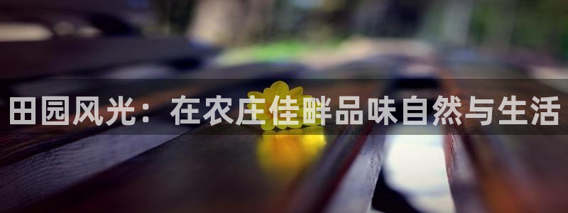 天辰娱乐会所
