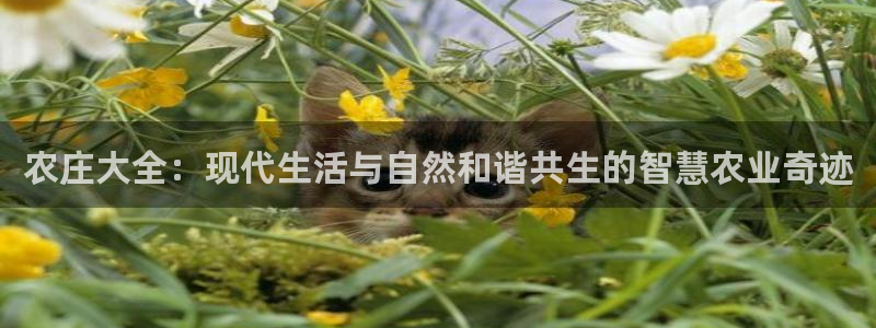 天辰娱乐下载地址