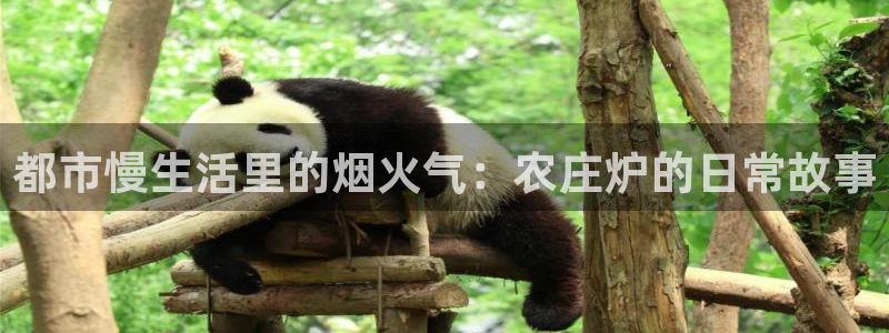 天辰2娱乐