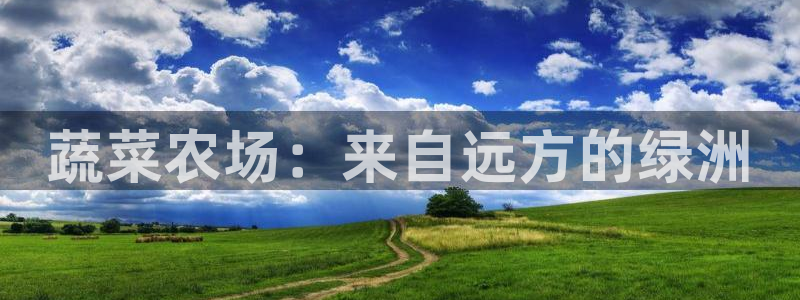 天辰娱乐新