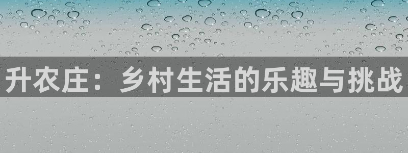 天辰娱乐总管