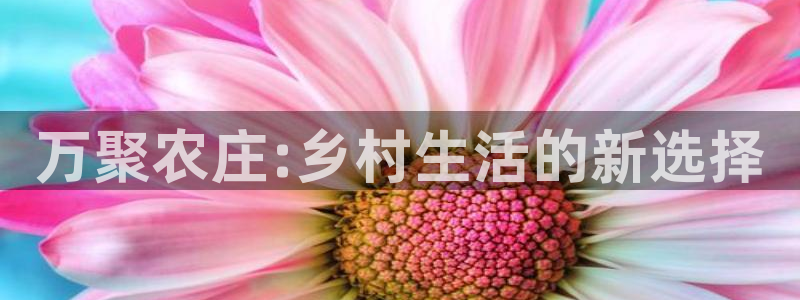天辰天辰娱乐