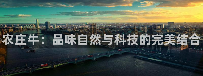 天辰娱乐白屏