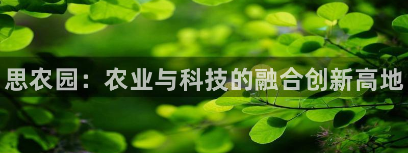 天辰娱乐娱乐平台
