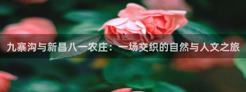 天辰娱乐文化