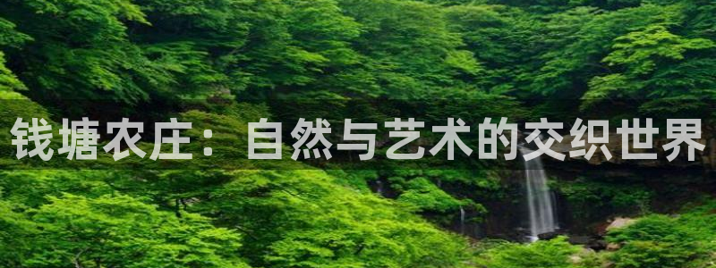 天辰娱乐平台测速