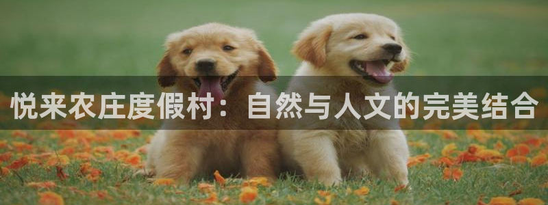 天辰娱乐官网平台下载