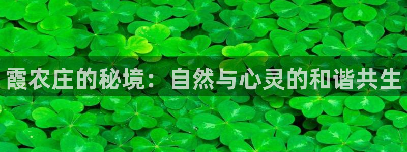天辰娱乐待遇