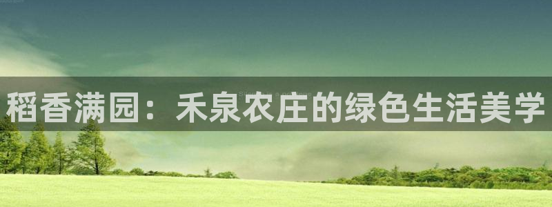 大同天辰娱乐