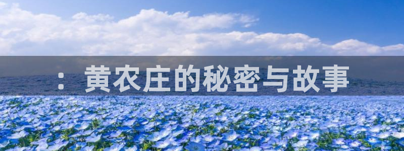 娱乐ktv天辰