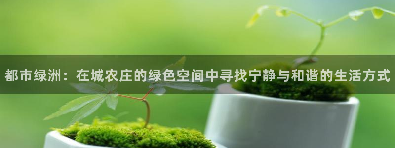 大同天辰娱乐